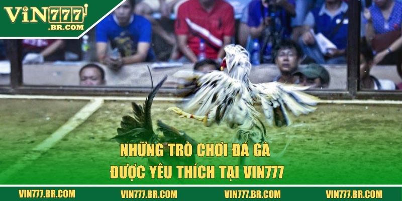 Những trò chơi đá gà được yêu thích tại Vin777